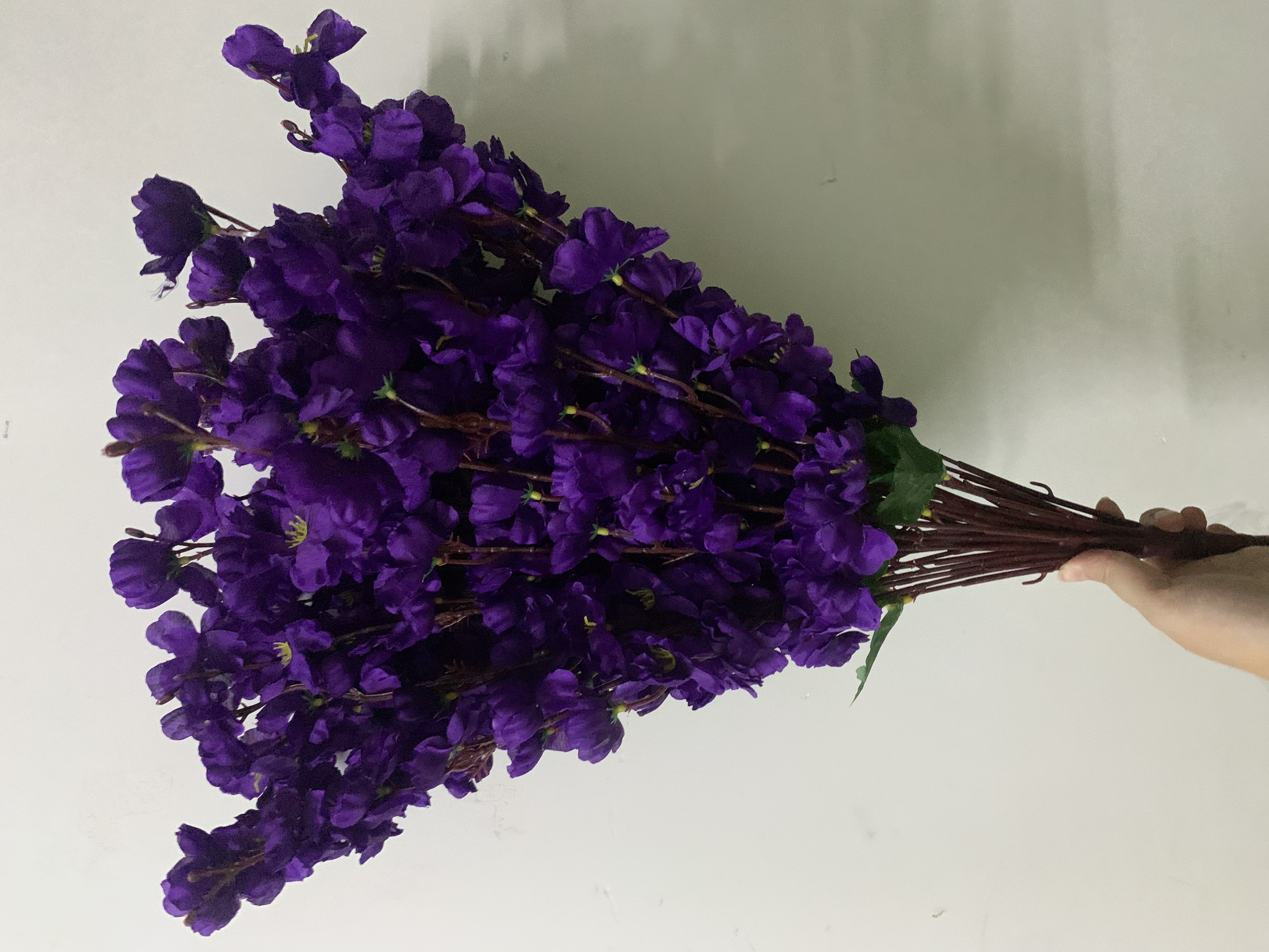 24 forchette viola