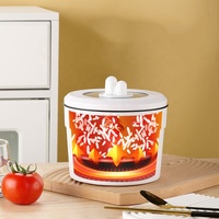 220v 300w dortoir étudiant marmite électrique multi-fonctionnelle petit ménage nouilles instantanées marmite électrique
