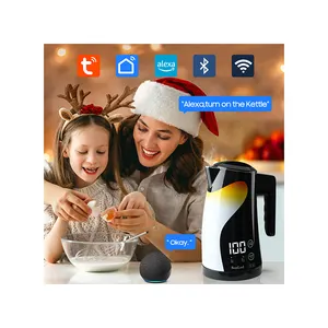Mini European Home Appliances Smart Low Wattage Tea Pots Hot Water Kettle Heat Electric Kettle Portable