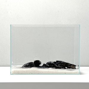 Ensemble de petit aquarium en plastique écologique pour table, pour une utilisation en extérieur et dans la salle à manger, avec lumière et filtre - Product Image 4