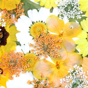 Kit d'herbes naturelles en résine époxy, fleurs séchées, lot de pièces, pour <span class=keywords><strong>Scrapbooking</strong></span>, artisanat artistique, bijoux, <span class=keywords><strong>Gel</strong></span>, Art des ongles - Product Image 3