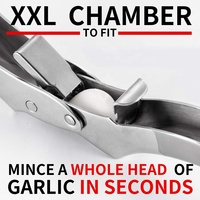 Vente chaude accessoires de cuisine gadget ail culbuteur hachoir en acier inoxydable gingembre broyeur ail presse hachoir