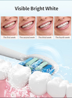 Cepillo de Dientes Eléctrico Sónico Premium Eisler T14, Resistente al Agua IPX7, Modo Blanqueamiento, Carga Rápida DC, Cepillo de Dientes de Lujo para Regalo