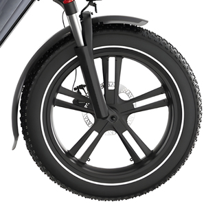 Promotion limitée vélo cargo électrique 750W 20 pouces gros pneu cadre en aluminium vélo cargo familial à vendre - Product Image 3