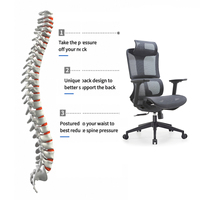 Chaise de bureau ergonomique en maille avec appui-tête réglable, support lombaire, accoudoirs 3D, pivotante, pour usage domestique ou professionnel, modèle moderne Pro
