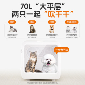 Boîte de séchage intelligente pour animaux Dudupet 70L, sécheuse automatique pour chats et chiens avec protection contre la surchauffe, blanche - Product Image 4