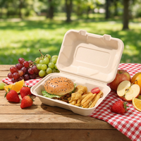 Oasis 9*6*3'' Couvercle de boîte à lunch biodégradable jetable en pulpe de bagasse de canne à sucre, imperméable, résistant à la graisse et compatible micro-ondes