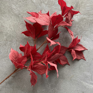 Hojas Artificiales de Avellana Planas y Largas para Decoración de Salones de Boda, Guía de Caminos de Plantas Verdes, Decoración de Paisajismo con Hojas Verdes - Product Image 6