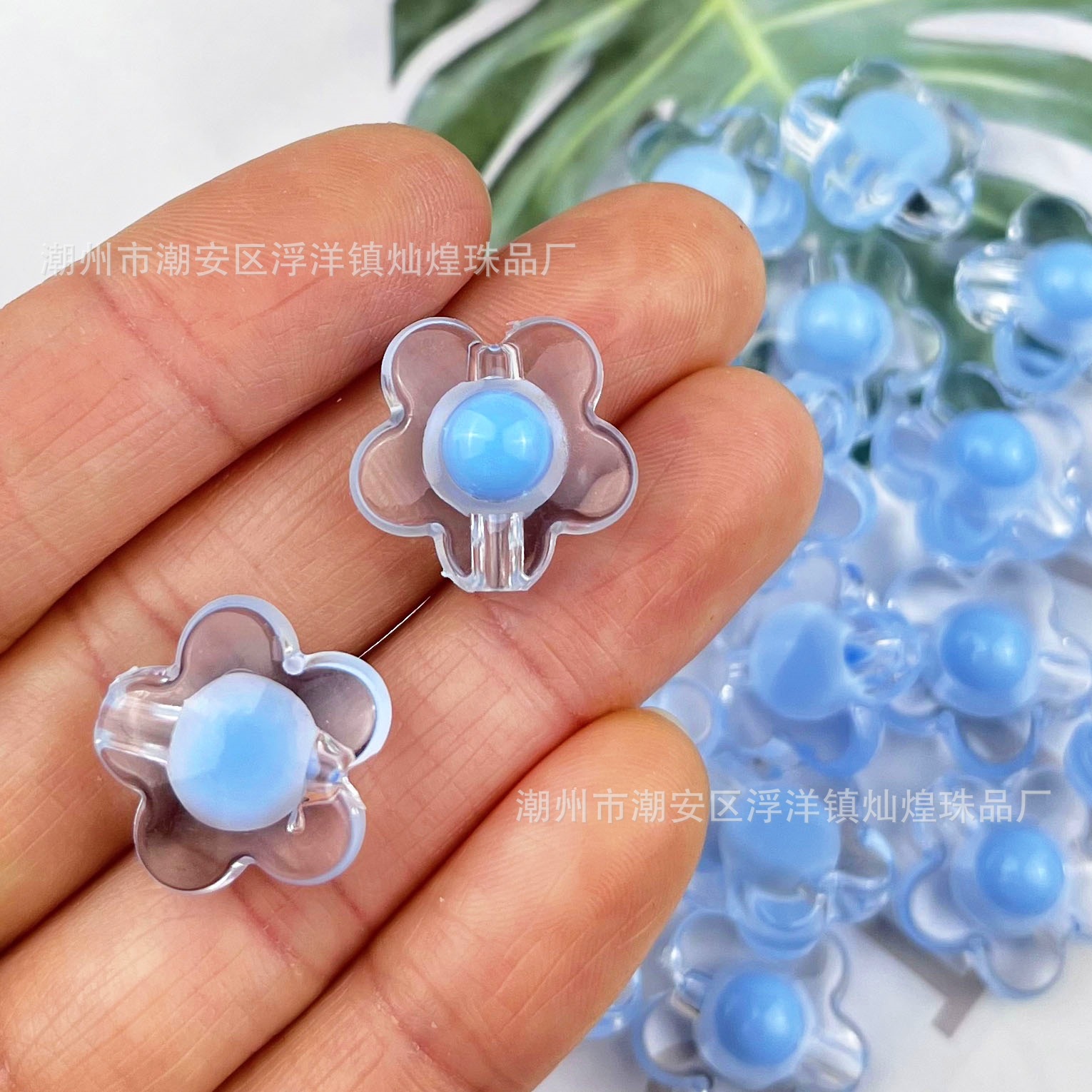 Pearl of Pearl, Big Plum Blossom Blue