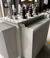 Transformateurs immergés dans l'huile Copper S22-M-800/10