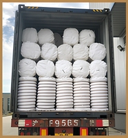 Plumes et duvets de canard et d'oie blancs doux, de haute qualité et à prix abordable, parfaits pour le rembourrage des oreillers et de la literie.