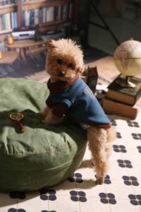Wholesale Vintage Pet Tank <strong>Top</strong> Soft Fleece Dog Vest Embroidered Puppy Shirt Casual Pet Apparel for Dogs and <strong>Cats</strong> - Product Image 4