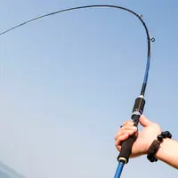 Buy FISHOAKY2.1 m Carbon Fibre Fishing Rod Pole for Saltwater