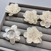 Patch en résine plastique 3D à coudre en chenille avec strass pour accessoires vestimentaires DIY, chapeaux, robes de mariée et voiles