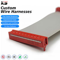 Maßgefertigtes IDC/DIP Flachbandkabel FPC 10A Kupfer Edelstahl Steckverbinder 14-Pin Stromkabelbaum