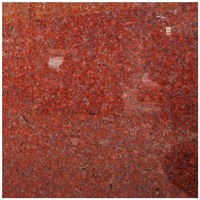 Étiquettes en granit indien, rouge rubis, pour escaliers de comptoir de cuisine, offre spéciale, prix le plus bas