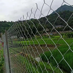 Mạ kẽm nóng Chuỗi liên kết hàng rào dây lưới 8 chân Chuỗi liên kết hàng rào kim cương dây lưới vườn hàng rào lưới sắt không thấm nước lưới - Product Image 3