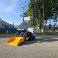Mini-Dumper Elektrischer Mini-Kipper für Gartenarbeit Emissionsfreier Kompakter Raupentransporter