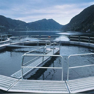 . 125 inch nhôm Grip strut an toàn tấm ván lưới khác nhau Chiều rộng đi bộ dốc với đục kỹ thuật tùy chỉnh cắt xử lý - Product Image 4