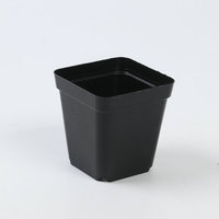 Pot de plante en plastique épaissi en gros à bas prix pot de semis en plastique carré noir plantation de fleurs pots et jardinières de pépinière