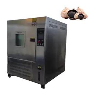 Nieuwe Ontwerpfabriek Hete Verkoop Zwarte Knoflookmachine Zwarte Knoflookfermenter Ham Bacon Gisting Machine
