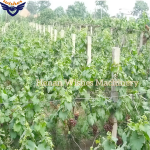 TWT80*100*8 프리스트레스 콘크리트 파일 성형기 과일나무 지지용 파일 - Product Image 6