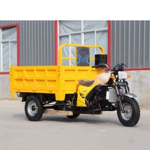 Motocicleta Triciclo <span class=keywords><strong>de</strong></span> Carga <span class=keywords><strong>de</strong></span> 1 Tonelada, 200cc, <span class=keywords><strong>3</strong></span> Ruedas, a Gasolina, <span class=keywords><strong>Precio</strong></span> <span class=keywords><strong>de</strong></span> Fábrica 2025, para Nigeria - Product Image 1