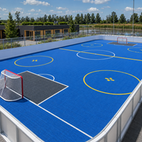 Revêtement de sol modulaire en PP pour patinoires commerciales, dalles emboîtables pour centres de patinage intérieurs et lieux de divertissement