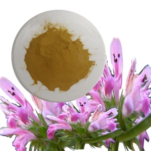 Wholesale Natural Motherwort Powder Herbal <b>Extract</b> Powder Natural Motherwort <b>Extract</b> Powder Yi Mu Cao Motherwort <b>Extract</b> - Product Image 5