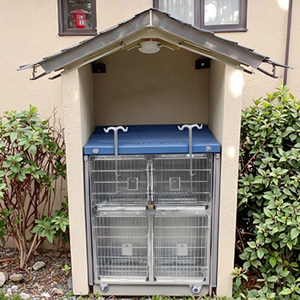 CH Fourniture d'usine <span class=keywords><strong>Cage</strong></span> de clinique pour animaux de compagnie de haute qualité pour chiens Cages pour animaux de compagnie en acier inoxydable d'instrument vétérinaire de luxe - Product Image 1
