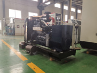 Groupe électrogène au gaz naturel Weichai 130 kW 162,5 kVA, refroidi par eau, triphasé, démarrage automatique, type silencieux