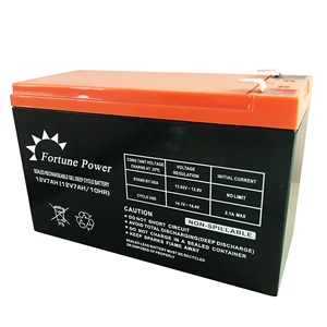 Batería de Gel Sellada de Ciclo Profundo Fortune Power <span class=keywords><strong>12V</strong></span> <span class=keywords><strong>9AH</strong></span> <span class=keywords><strong>12V</strong></span> 7AH 6MF9A y <span class=keywords><strong>Cargador</strong></span> para Carritos de Golf y Sillas de Ruedas Eléctricas - Product Image 1