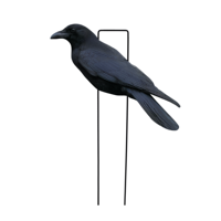 Décoys de chasse au corbeau en PP, personnalisés en usine, anti-reflet, imperméables, ultra-réalistes, en forme de silhouette d'oiseau, pour la chasse en extérieur
