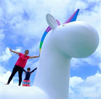 Toboggan aquatique gonflable géant licorne pour enfants, équipement de jeu aquatique, sports nautiques à vendre