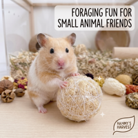 Balle en fibre de coco personnalisée et écologique pour animaux de compagnie, jouet transfrontalier pour l'exercice quotidien des hamsters, lapins, oiseaux et chats, à mâcher et pour la dentition
