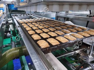 เชิงพาณิชย์หั่นปอนด์สวิสม้วนชีฟองฟองน้ําเค้กสายช็อคโกแลตเครื่องทําเค้กอัตโนมัติ - Product Image 3