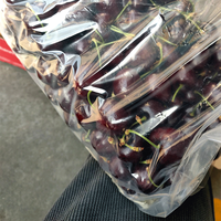 Nouvelle technologie sac de conservation des aliments frais sac de conservation des fruits et légumes Nano