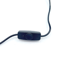 Câble d'alimentation USB 2.0 A mâle à type C avec interrupteur marche/arrêt pour lumière LED