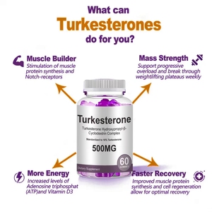 Vitahealthy OEM/ODM nhãn hiệu riêng nhà máy cung cấp turkesterone Gummies 500mg giúp sức mạnh cơ bắp và năng lượng xây dựng turkesterone - Product Image 4