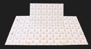 Nhà máy sản xuất CUL CE bền RGBW LED Backlight Sheets 5in1 RGBW + CCT đặc biệt thông minh điều khiển từ xa Flex LED bảng điều chỉnh Sheets 24x48cm - Product Image 3