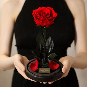 Rosa clásica Flor de la eternidad Las mismas rosas reales frescas conservadas en cúpula de cristal como La Bella y La Bestia Rosa en cristal con caja de regalo - Product Image 5