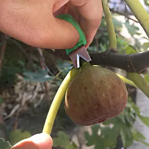 Garden Pick Scissors Harvesting Pruner Knife for Fruit Vegetable Hand Tool