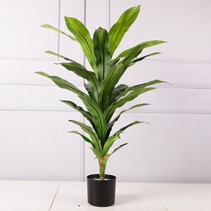 Plantas artificiales <span class=keywords><strong>de</strong></span> plástico <span class=keywords><strong>de</strong></span> hoja perenne <span class=keywords><strong>de</strong></span> interior con macetas <span class=keywords><strong>Árbol</strong></span>es artificiales Faux <span class=keywords><strong>Dracaena</strong></span> Fragrans - Product Image 2