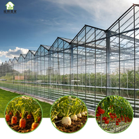 Serre agricole multi-chapelles de grande taille avec système hydroponique, contrôle climatique, structure en acier galvanisé à chaud et film PE