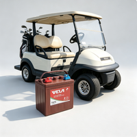 Baterai Asam Timbal Tubular Deep Cycle Trojan 8V 170Ah untuk Forklift dan Golf Cart VELA 4-EW-135 Bersertifikasi ISO9001 CE ROHS