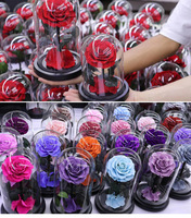 Cadeau pour la Saint-Valentin/Noël 2026, roses éternelles naturelles faites à la main, roses préservées dans un dôme en verre