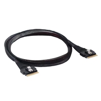 Cable SAS 4.0 Interno para Chasis de Servidor, Delgado, de Alta Calidad, Precio de Fábrica al por Mayor, SAS 8654 8i a SFF-8654 8i, 24G 74P