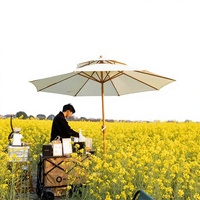Parasol d'extérieur pliable grand format avec mât central, idéal pour le jardin et le camping, imperméable, tente de plus de 3000 mm pour 3-4 personnes, populaire en ligne