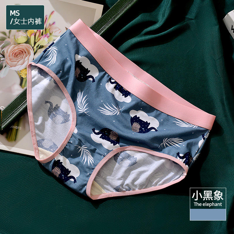 Little black elephant-female