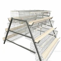 Cage à poules automatique de type A fiable, fourniture d'usine, meilleure qualité